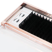 0.20 C-CURL  LASH TRAY 16LINES - Culture of lash